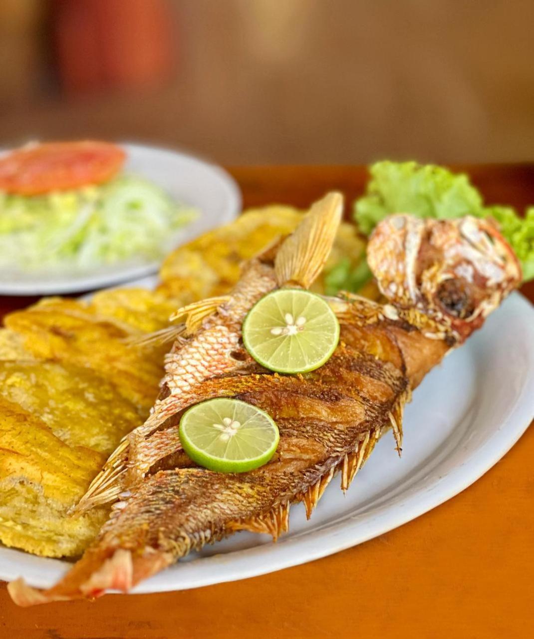 Arca Tayrona Restaurant & Hostal Лос-Наранхос Экстерьер фото